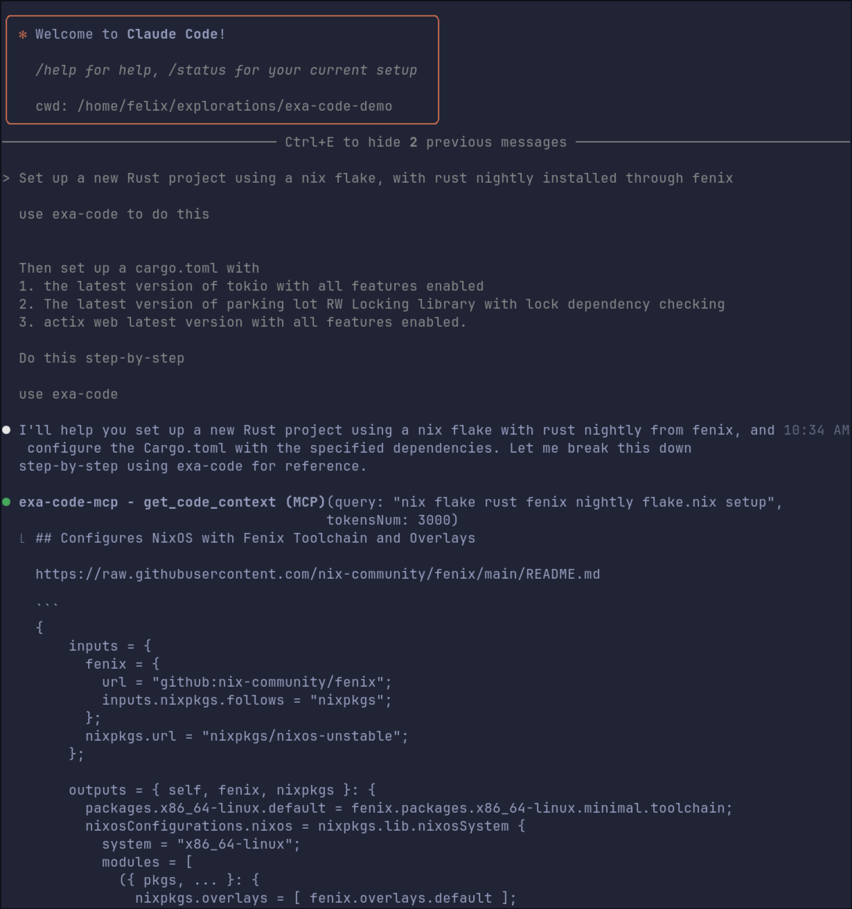 Exa-code rust nix configuration example