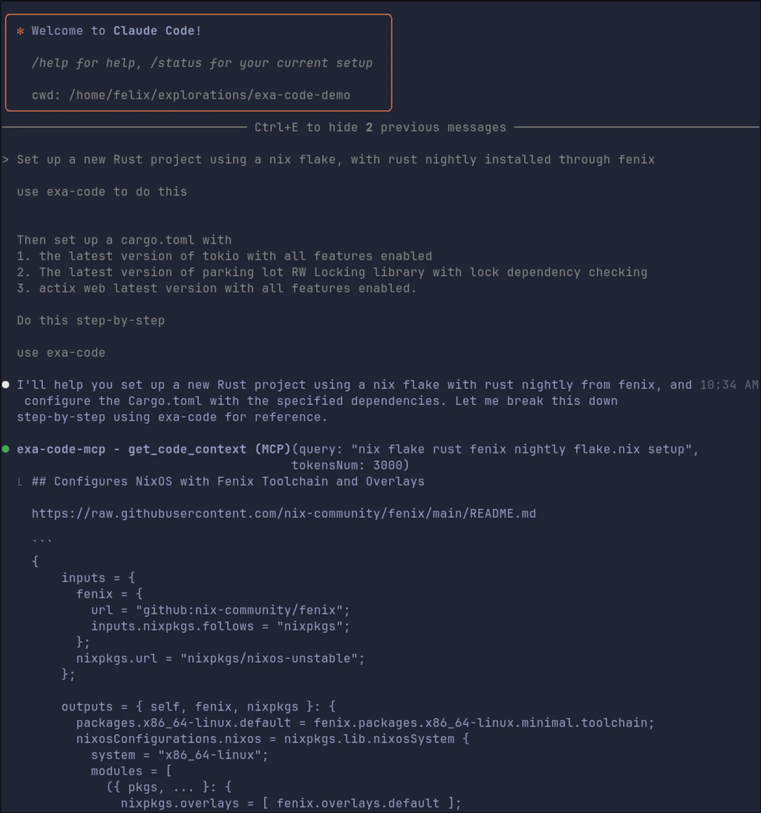 Exa-code rust nix configuration example