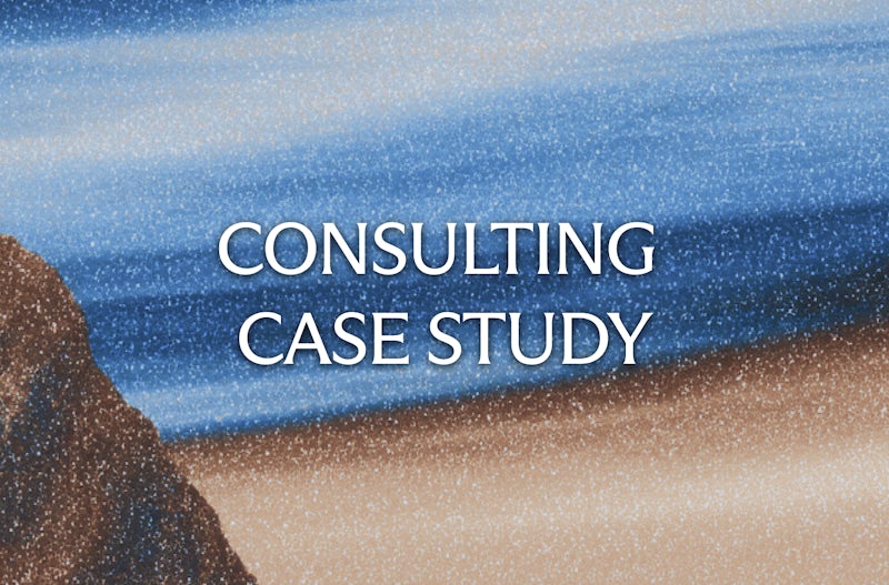 Consulting Case Study