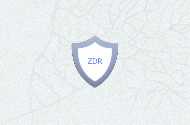 Zero Data Retention across Exa Search Products